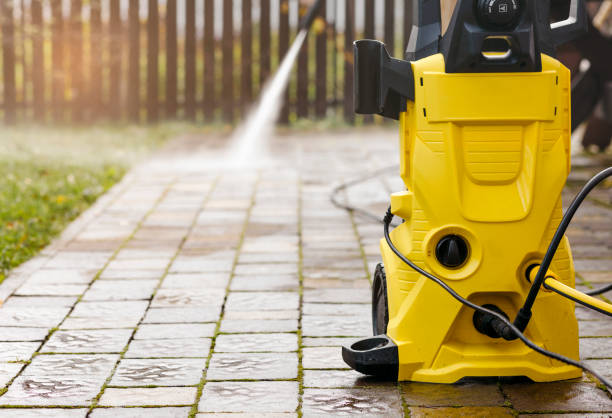 Best Roof Cleaning and Mildew Removal in Parkers Prairie, MN